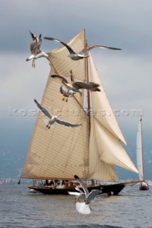 Portofino, 08.05.2009  Portofino Rolex Trophy 2009  VARUNA, 12 mt, Owner: Luigi Donna