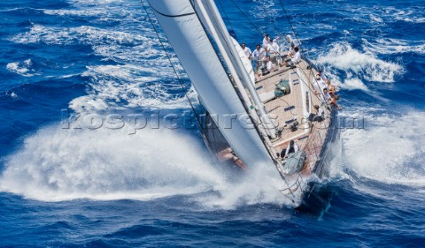 CAPE ARROW Sloop 99 ft Class A Designer FarrNauta Builder Southern WindRace Day 1