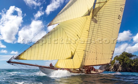 TUIGA Sail n D3 Owner YACHT CLUB DE MONACO