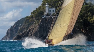 TUIGA, Sail n: D3, Owner: YACHT CLUB DE MONACO