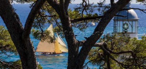 TUIGA Sail n D3 Owner YACHT CLUB DE MONACO