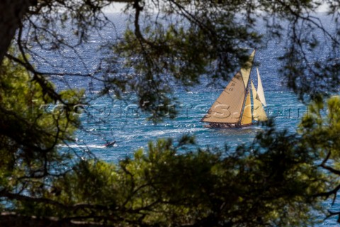 TUIGA Sail n D3 Owner YACHT CLUB DE MONACO