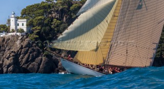 TUIGA, Sail n: D3, Owner: YACHT CLUB DE MONACO