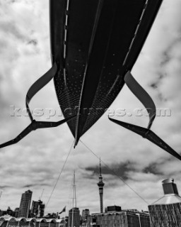 Shore Team crane launch INEOS