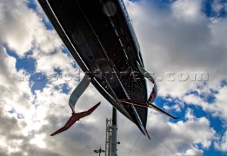 Shore Team crane launch INEOS