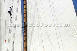 Les Voiles de Saint-Tropez 2011 -