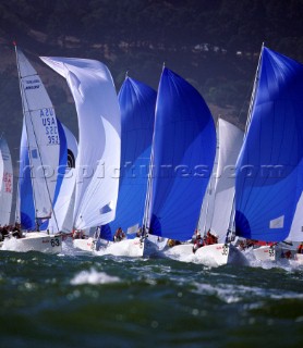 Melges fleet racing