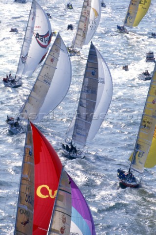 Fleet during a regatta