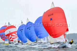 SAP 505 Worlds 2014 - Kiel in Germany