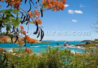 Hamilton Island Yacht Club and marina