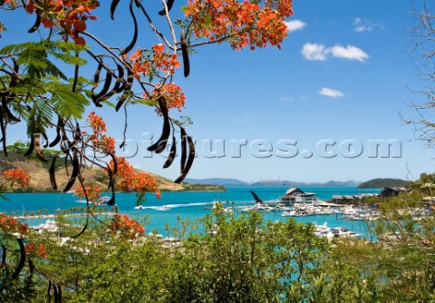 Hamilton Island Yacht Club and marina