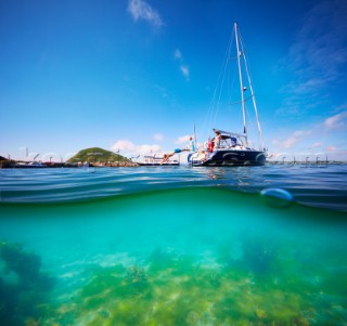 Family onboard a yacht, man diving into the sea