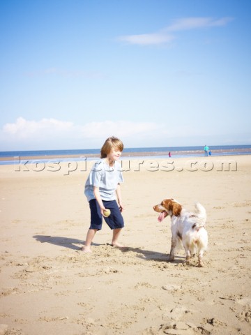 Boy playing with a dog on the beach