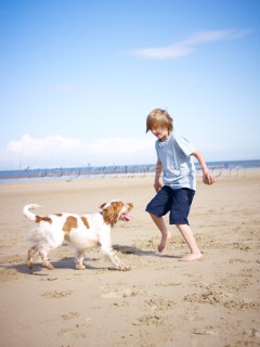 Boy playing with a dog on the beach