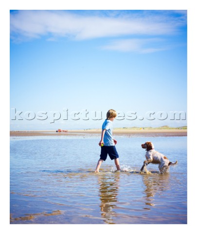 Boy playing with a dog on the beach