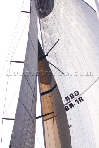 Les Voiles de St Tropez 2015 Leopard