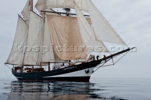 Tall ship Oosterschelde sailing