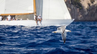 The Classic Silver Bollard Regatta 2014. Port Adriano