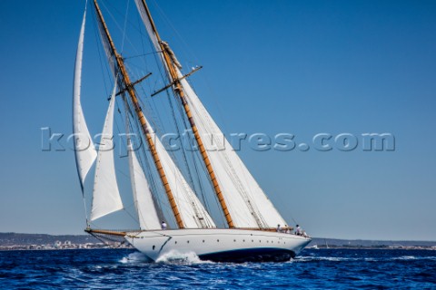 The Big Class Day Sail  SYC 2016 Schooners sailing in the Bay of Palma 22nd of June 2016