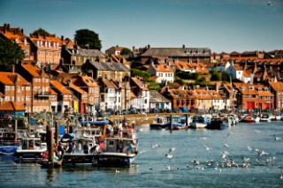 Seagulls and fishing boats fill the harbor on a sunny afternoon in Whitby, England.