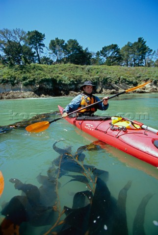 Bryan Jones paddles a section of coast near San Simeon on the central coast of California