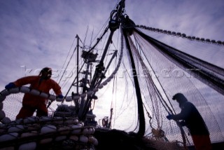 08/15/08  Crew members Alexai Gamble Nick Demmert hauls in the net while sein fishing on Captain Larry Demmerts boat just off of the outer islands west of Prince of Whales Island in SE Alaska. This is a native fishing hole. At this time they were catching mostly humpies.