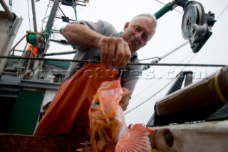 Sept 24, 2008   20 miles offshore of Morro Bay California.   Captain Bill Blue fishing for Black Gill Rock Fish off the coast of Big Sur California using the hook and line, or long-line method.  A new wave in sustainable commercial fishing is pushing fisherman to switch from higher impact methods of harvesting fish like trawling- to hook and line or long line harvest.