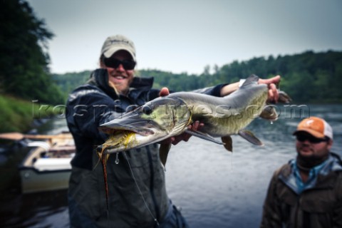 Fly fishing guide Lucky Porter landing a musky on the Flambeau River in Northern Wisonsin