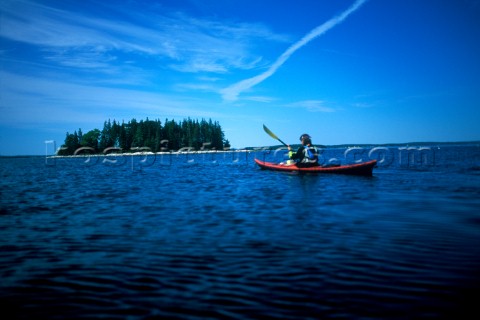 A woman paddles her sea kayak near Thief Island on Muscungus Bay Maine releasecode DMMR1030