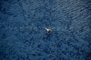 Aerial view of a fishing dhow sailing in shallow water near Kiwayu island off the northern coast of Kenya.