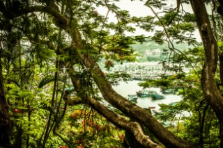 Tropical trees with boats in a harbor visible through a break in the vegetation. Tim Martin/Aurora Photos/Kos Pictures