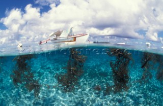 Seaweed harvest, split levelCagayancillo Island/Sulu Sea/Philippines. Juergen Freund/Aurora Photos/Kos Pictures