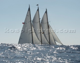 Creole racing at the Vela Classica Menorca 2011 Trofeo Panerai